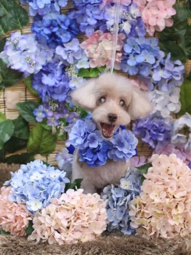 20250618ロンくん